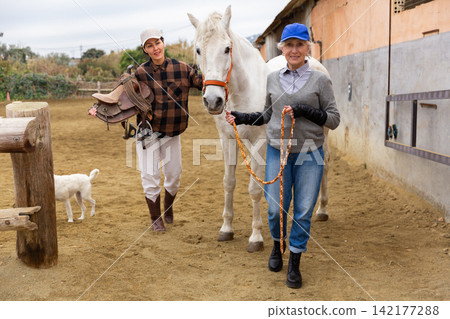 Women ranchers preparing white horse for ride 142177288