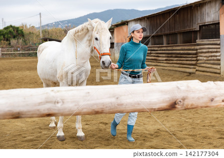 Rancher holding rein and leading horse outdoors 142177304