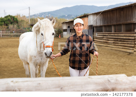 Woman horse holder leading white horse on farm 142177378