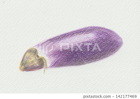 eggplant  142177469