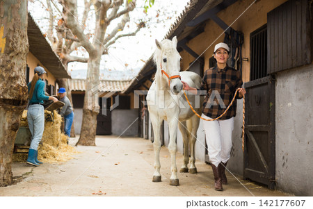 Asian woman leading white horse by bridle outdoors along stables Asian woman leading white horse by bridle outdoors along stables 142177607