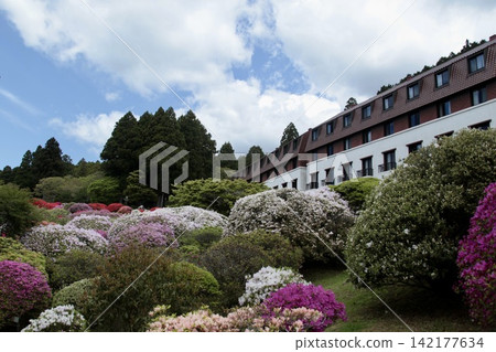 A garden overflowing with blooming azaleas | Hotel on the shores of Lake Ashi in Hakone A garden overflowing with blooming azaleas | Hotel on the shores of Lake Ashi in Hakone 142177634