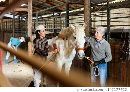 Women horse breeders grooming white horse in stable 142177722
