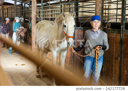 Mature woman jockey leading her white corse out of stable 142177726