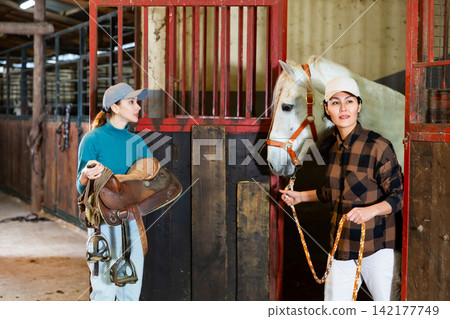 Asian woman leads white horse out of the stall. Another woman carries saddle for horse 142177749