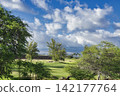 96431 Trees, blue sky, and clouds - Waikoloa, Hawaii Island 142177764
