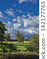 96432 Trees, blue sky, and clouds - Waikoloa, Hawaii Island 142177765