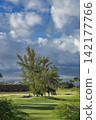 96433 Trees, blue sky, and clouds - Waikoloa, Hawaii Island 142177766