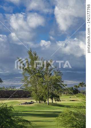 96433 Trees, blue sky, and clouds - Waikoloa, Hawaii Island 96433 Trees, blue sky, and clouds - Waikoloa, Hawaii Island 142177766