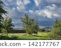 96434 Trees, blue sky, and clouds - Waikoloa, Hawaii Island 142177767
