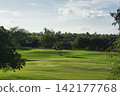 96435 Trees, blue sky, and clouds - Waikoloa, Hawaii Island 142177768