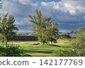 96436 Trees, blue sky, and clouds - Waikoloa, Hawaii Island 142177769