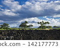 96439 King's Foot Trail Lava, Waikoloa, Hawaii Island 142177773