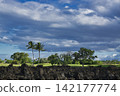 96440 Kingsfoot Trail Lava, Waikoloa, Hawaii Island 142177774