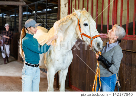 Women taking care of horse and braiding mane 142177840