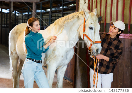 Two female workers of stable brushing horse and braiding mane 142177886