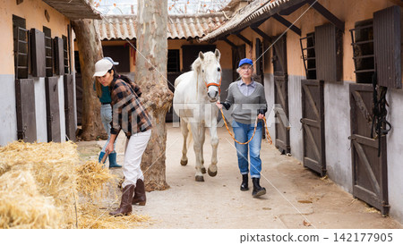 Two women horsebreeders working in ranch 142177905