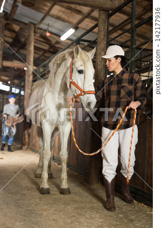 Asian female farmer leading white horse through stable 142177936