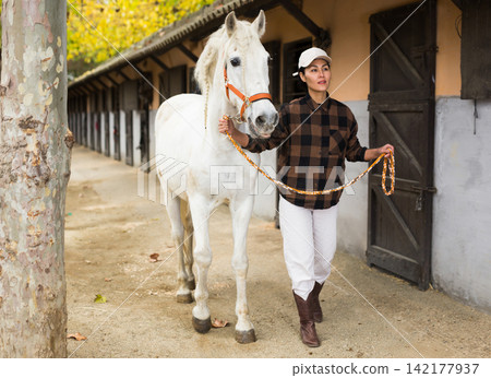 Rancher holding rein and leading horse outdoors 142177937