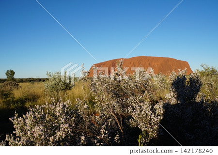 從澳洲烏魯魯日落觀賞區看到的烏魯魯全景 從澳洲烏魯魯日落觀賞區看到的烏魯魯全景 142178240