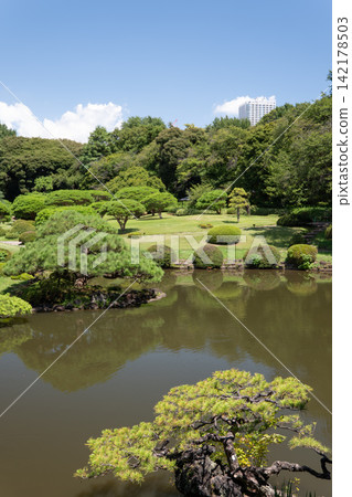 日式庭園景觀,有池塘、美麗的綠樹和夏日藍天。 日式庭園景觀,有池塘、美麗的綠樹和夏日藍天。 142178503