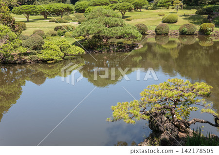 日式庭園景觀,有池塘、美麗的綠樹和夏日藍天。 日式庭園景觀,有池塘、美麗的綠樹和夏日藍天。 142178505