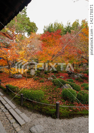 Autumn leaves garden of a temple in Kyoto Autumn leaves garden of a temple in Kyoto 142178871