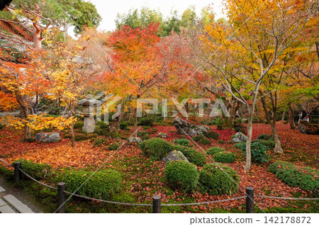 Autumn leaves garden of a temple in Kyoto Autumn leaves garden of a temple in Kyoto 142178872