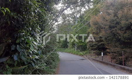 A quiet road surrounded by the greenery of Izu Kogen A quiet road surrounded by the greenery of Izu Kogen 142178891