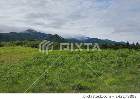 The Shiretoko mountain range, shrouded in a veil of clouds, as seen from the walking path at Frepe Falls. The Shiretoko mountain range, shrouded in a veil of clouds, as seen from the walking path at Frepe Falls. 142179892
