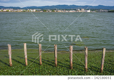 滋賀縣大津市琵琶湖的夏季風景 142180031