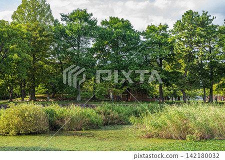 滋賀縣大津市瀨澤城跡公園 滋賀縣大津市瀨澤城跡公園 142180032