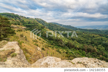 Summer Mountains Landscape with Green forest. Summer Mountains Landscape with Green forest. 142180355