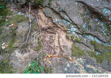 Hillside cross section reveals layered soil and rock beneath dense greenery. Exposed roots and erosion patterns highlight nature slow sculpting over time Hillside cross section reveals layered soil and rock beneath dense greenery. Exposed roots and erosion patterns highlight nature slow sculpting over time 142180436