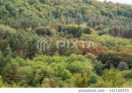 Summer Mountains Landscape with Green forest. Summer Mountains Landscape with Green forest. 142180470