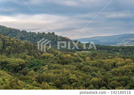 Summer Mountains Landscape with Green forest. 142180518