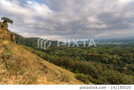 Summer Mountains Landscape with Green forest. Summer Mountains Landscape with Green forest. 142180520