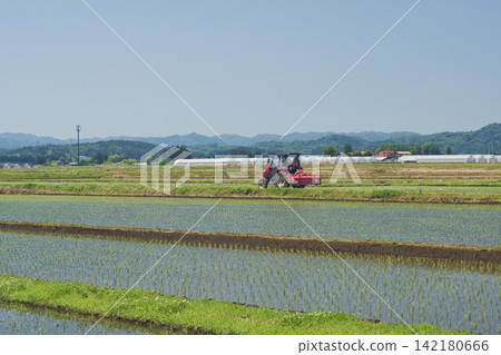 拍攝於福島縣中島村的鄉村風景。 142180666