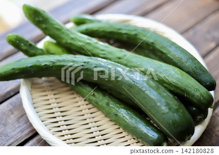 Fresh cucumbers from a home garden, placed on a bamboo basket. Fresh cucumbers from a home garden, placed on a bamboo basket. 142180828