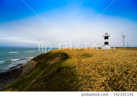 Knokkamap Lighthouse Knokkamap Lighthouse 142181142