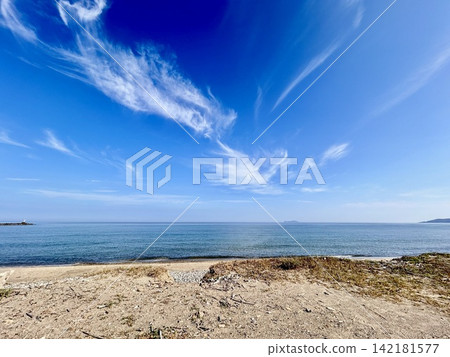 A morning stroll along the beach A morning stroll along the beach 142181577