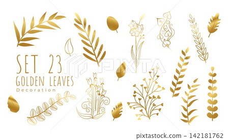 set of stylish golden leaves element on white template set of stylish golden leaves element on white template 142181762
