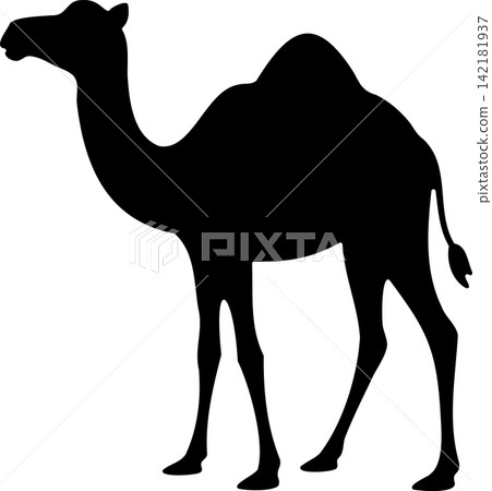camel silhouette isolated on white camel silhouette isolated on white 142181937
