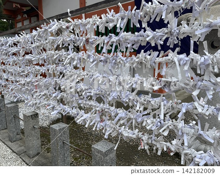 Many fortune slips tied to the fortune slip rack at Momiji Hachimangu Shrine | Fukuoka City Many fortune slips tied to the fortune slip rack at Momiji Hachimangu Shrine | Fukuoka City 142182009