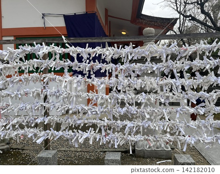 Many fortune slips tied to the fortune slip rack at Momiji Hachimangu Shrine | Fukuoka City Many fortune slips tied to the fortune slip rack at Momiji Hachimangu Shrine | Fukuoka City 142182010