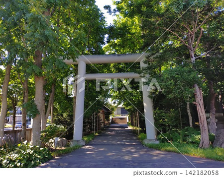 位於鳥取神社內的鳥居。 位於鳥取神社內的鳥居。 142182058