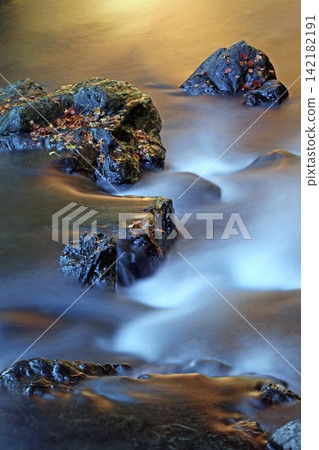 A stream flowing like silk and maple leaves scattered on wet rocks. A stream flowing like silk and maple leaves scattered on wet rocks. 142182191