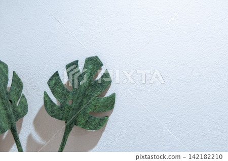 龜背竹形狀的毛氈牆飾和白色牆壁 龜背竹形狀的毛氈牆飾和白色牆壁 142182210