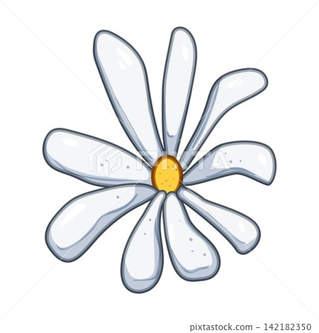 Chamomile flower head design on white background Chamomile flower head design on white background 142182350