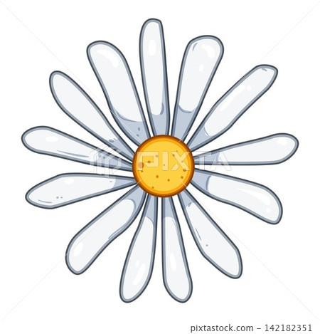 Chamomile flower head graphic drawing Chamomile flower head graphic drawing 142182351